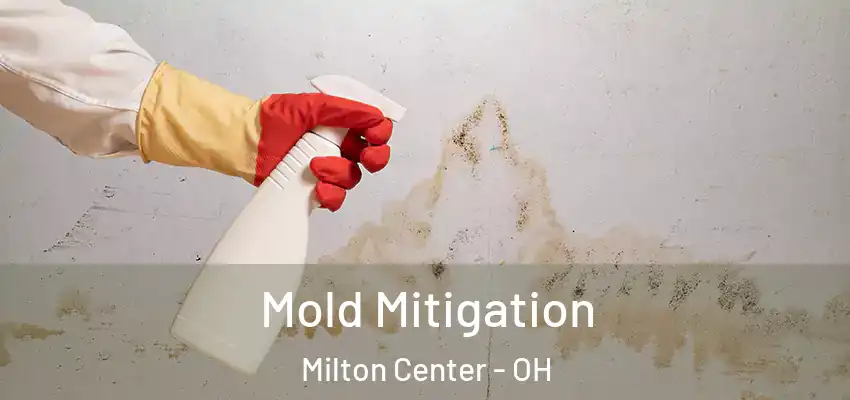  Mold Mitigation Milton Center - OH