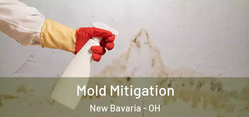  Mold Mitigation New Bavaria - OH