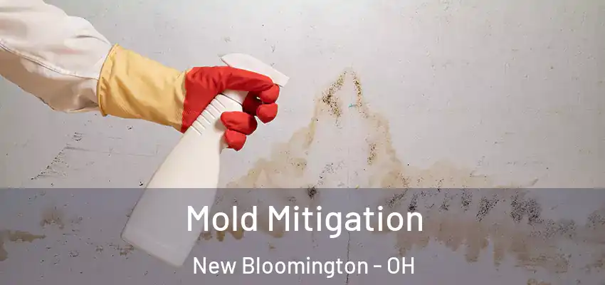  Mold Mitigation New Bloomington - OH
