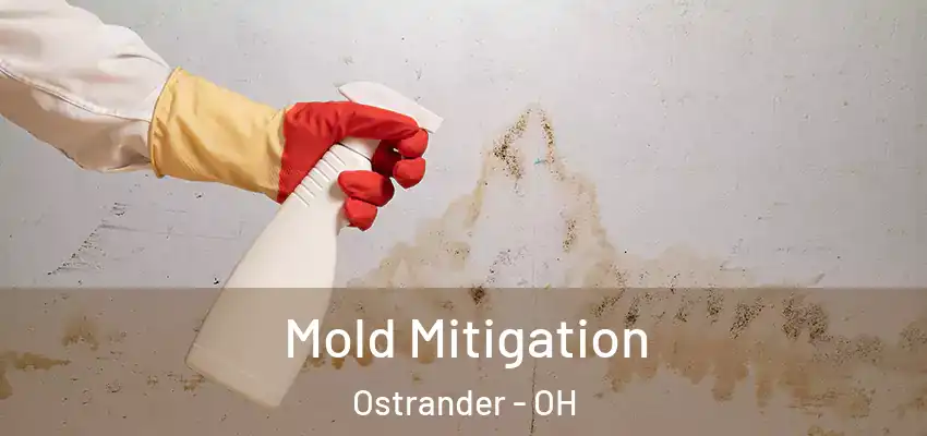  Mold Mitigation Ostrander - OH