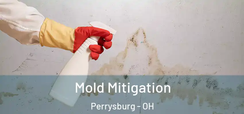  Mold Mitigation Perrysburg - OH