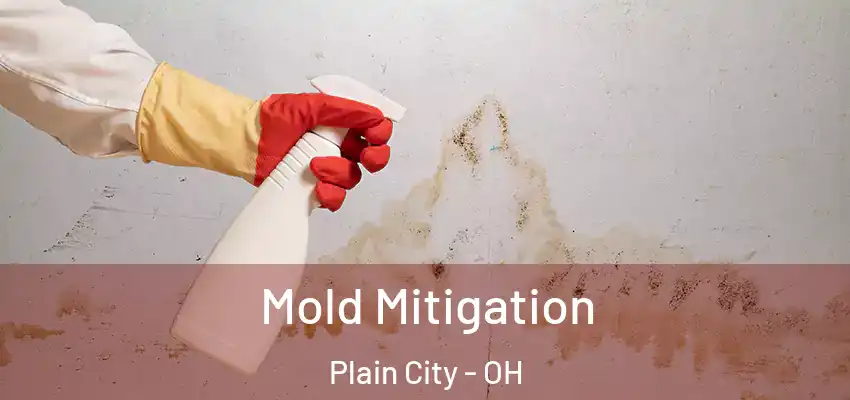  Mold Mitigation Plain City - OH