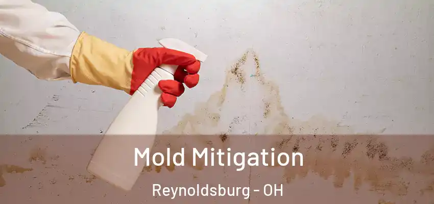  Mold Mitigation Reynoldsburg - OH