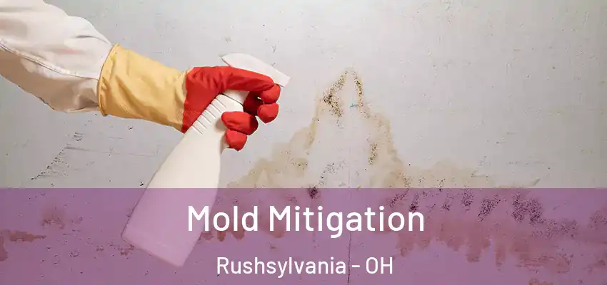  Mold Mitigation Rushsylvania - OH