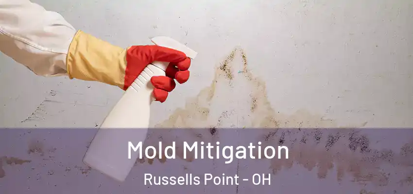  Mold Mitigation Russells Point - OH