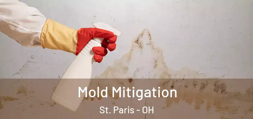  Mold Mitigation St. Paris - OH
