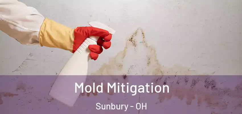  Mold Mitigation Sunbury - OH