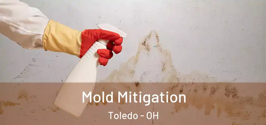  Mold Mitigation Toledo - OH