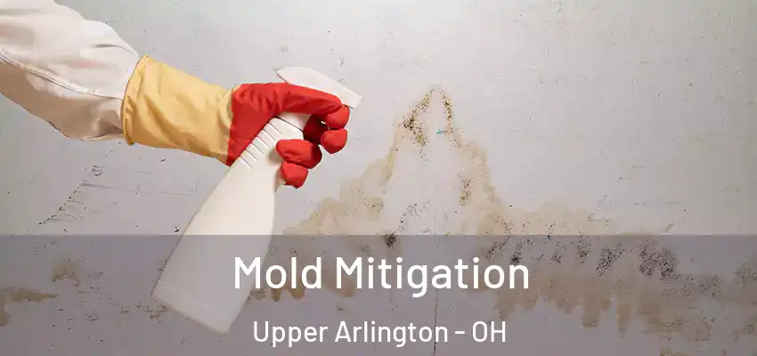  Mold Mitigation Upper Arlington - OH