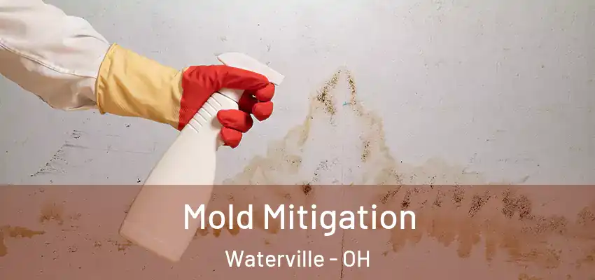  Mold Mitigation Waterville - OH