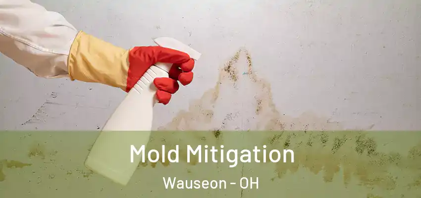  Mold Mitigation Wauseon - OH