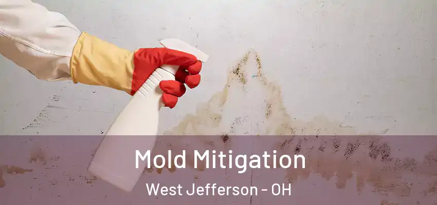  Mold Mitigation West Jefferson - OH
