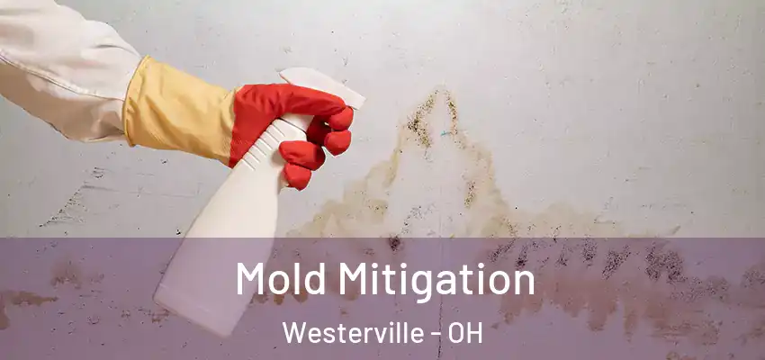  Mold Mitigation Westerville - OH