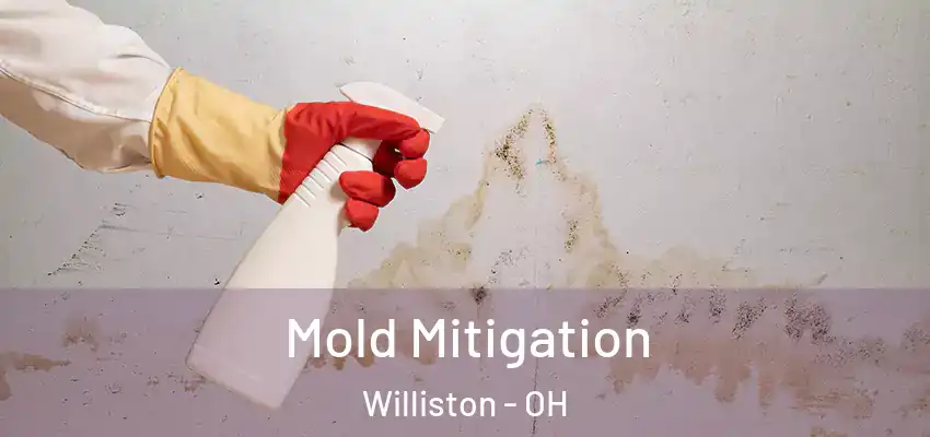  Mold Mitigation Williston - OH