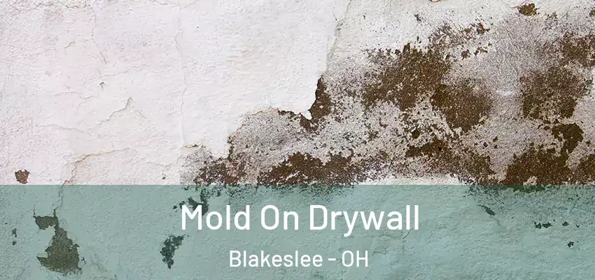  Mold On Drywall Blakeslee - OH