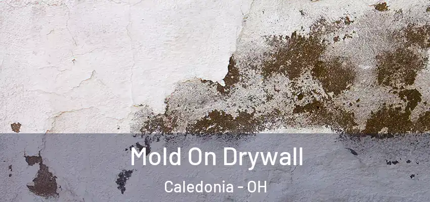  Mold On Drywall Caledonia - OH