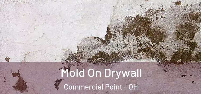  Mold On Drywall Commercial Point - OH