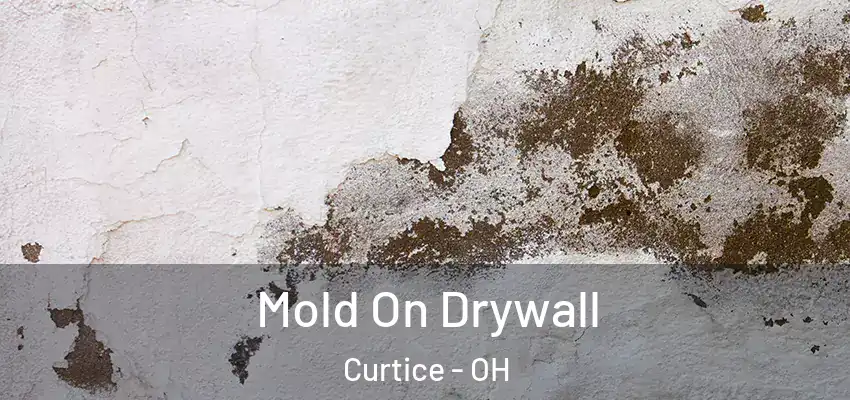  Mold On Drywall Curtice - OH
