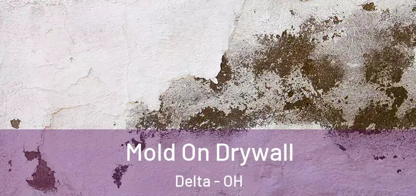  Mold On Drywall Delta - OH