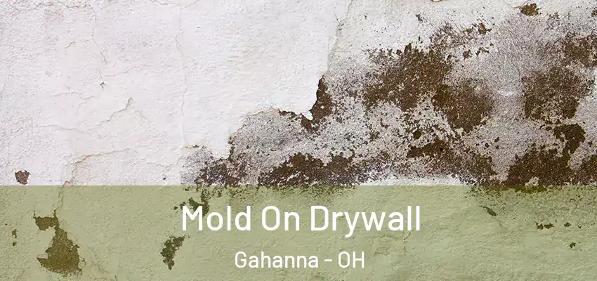  Mold On Drywall Gahanna - OH