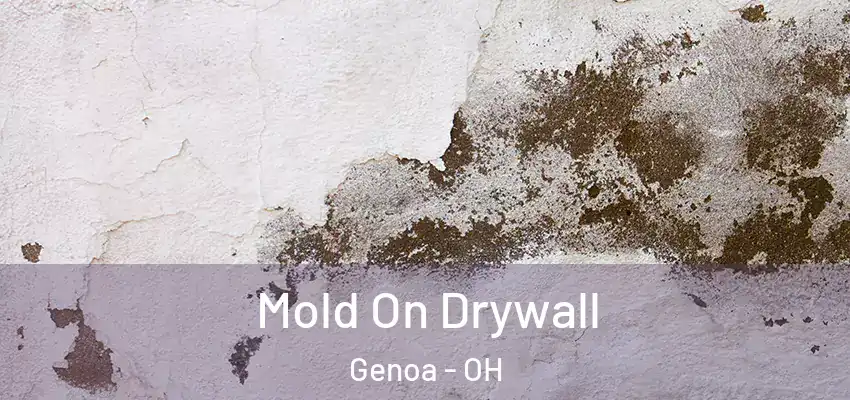  Mold On Drywall Genoa - OH