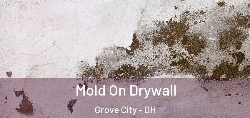  Mold On Drywall Grove City - OH