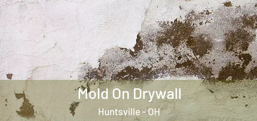  Mold On Drywall Huntsville - OH