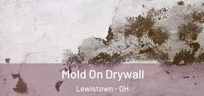  Mold On Drywall Lewistown - OH