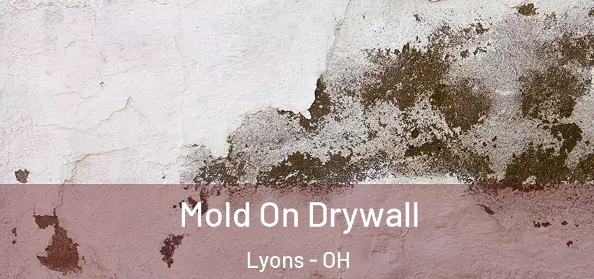  Mold On Drywall Lyons - OH