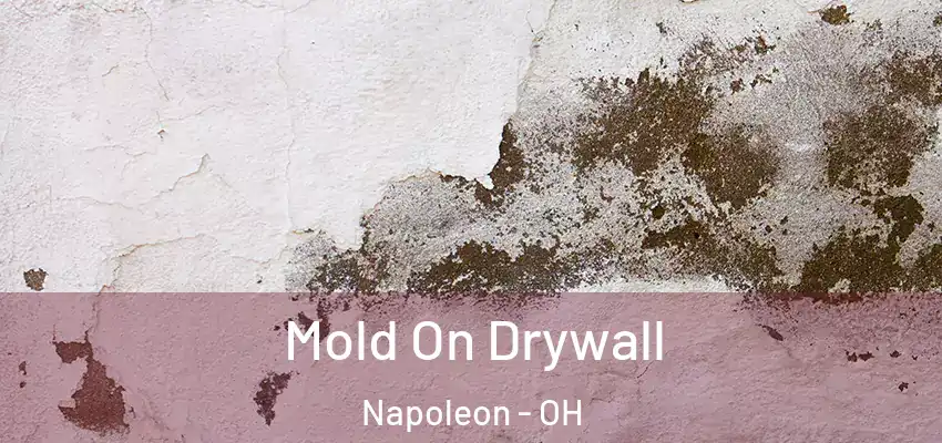  Mold On Drywall Napoleon - OH