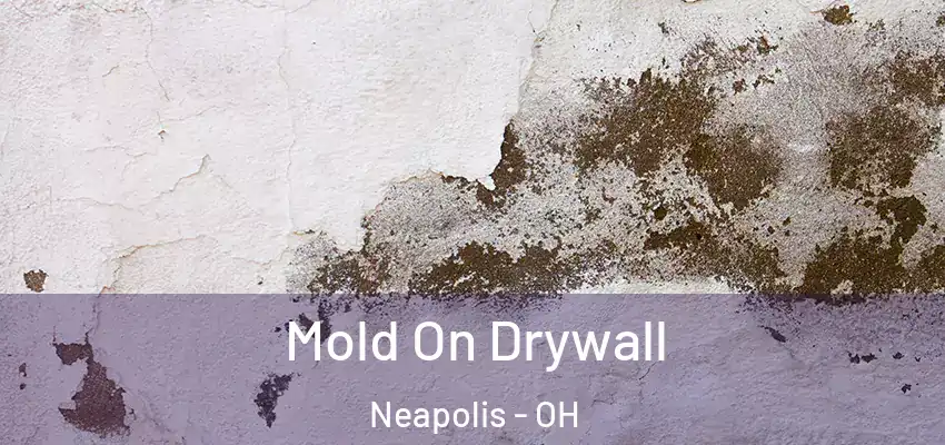 Mold On Drywall Neapolis - OH