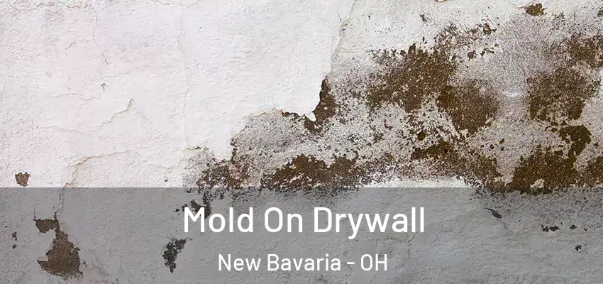  Mold On Drywall New Bavaria - OH