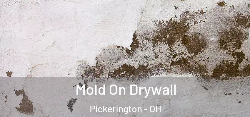  Mold On Drywall Pickerington - OH