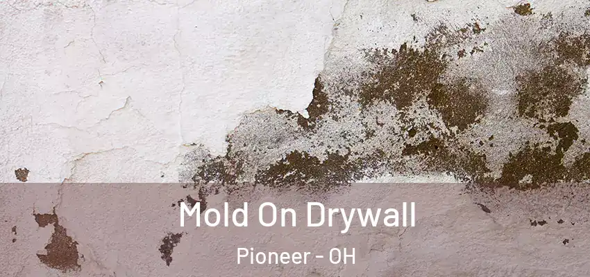  Mold On Drywall Pioneer - OH
