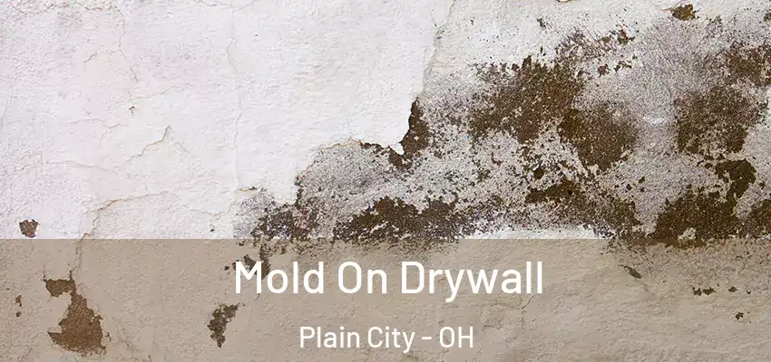  Mold On Drywall Plain City - OH