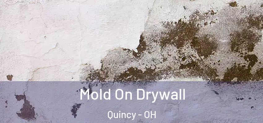  Mold On Drywall Quincy - OH