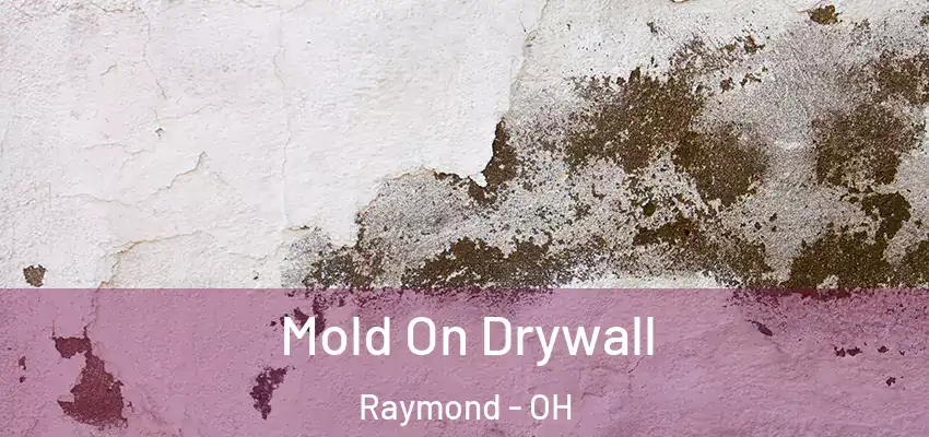  Mold On Drywall Raymond - OH