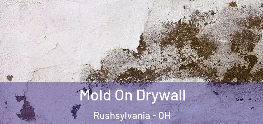  Mold On Drywall Rushsylvania - OH