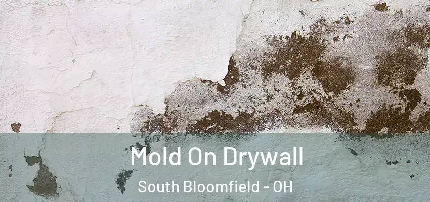  Mold On Drywall South Bloomfield - OH