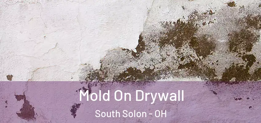  Mold On Drywall South Solon - OH