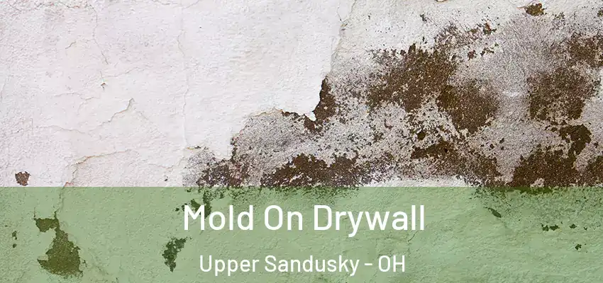  Mold On Drywall Upper Sandusky - OH