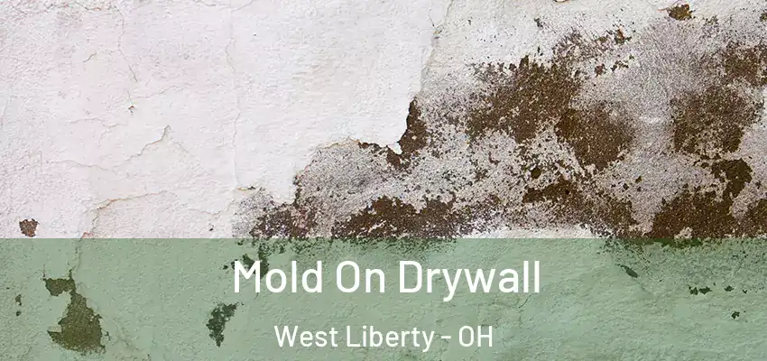  Mold On Drywall West Liberty - OH