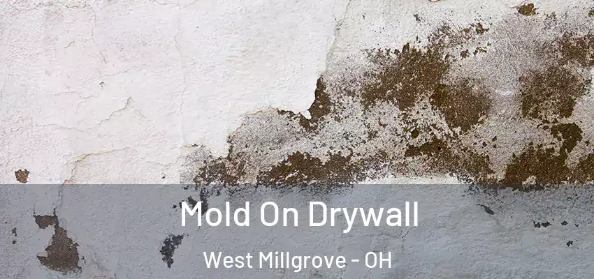  Mold On Drywall West Millgrove - OH