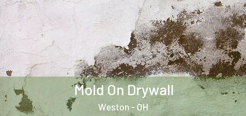  Mold On Drywall Weston - OH