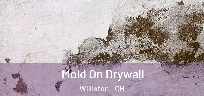  Mold On Drywall Williston - OH