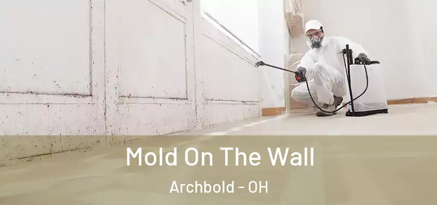 Mold On The Wall Archbold - OH