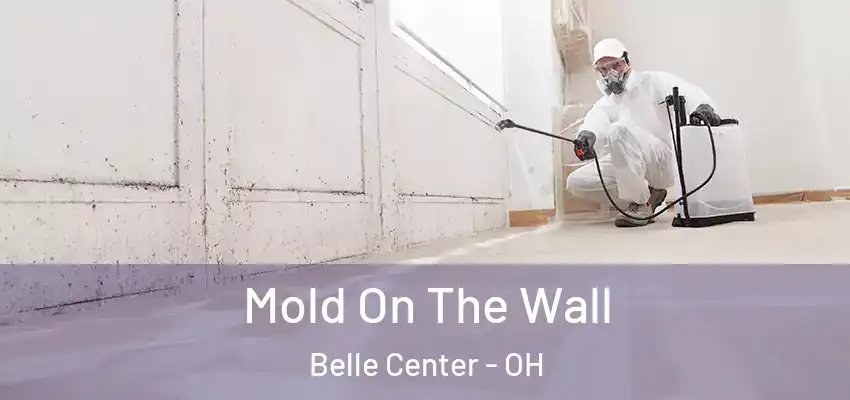  Mold On The Wall Belle Center - OH