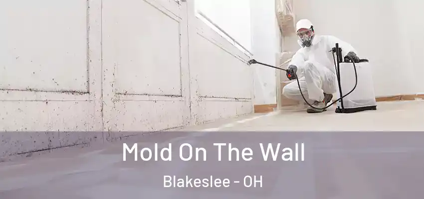  Mold On The Wall Blakeslee - OH