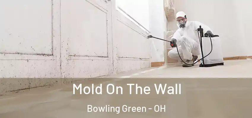  Mold On The Wall Bowling Green - OH