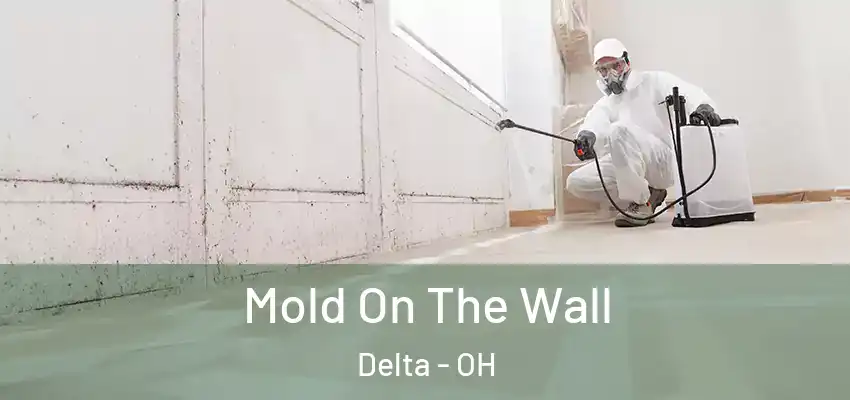  Mold On The Wall Delta - OH